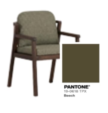 Cael Acacia Wood Outdoor Chair