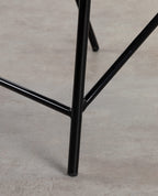 Amur Colors Synthetic Rattan and Metal Dining Chair