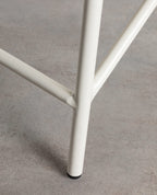 Amur Colors Synthetic Rattan and Metal Dining Chair