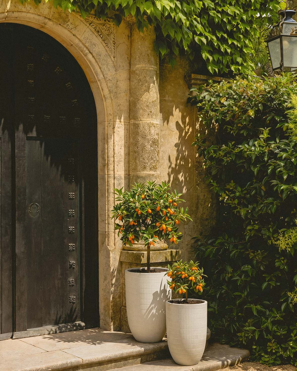 Set of 2 Potos high cement planters