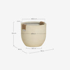 Set of 2 low Fitonia cement planters