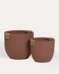 Set of 2 low Fitonia cement planters
