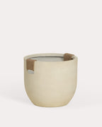 Set of 2 Fitonia cement planters