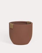 Set of 2 Fitonia cement planters