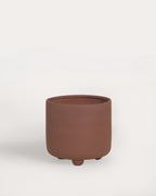 Set of 2 Petunia cement planters