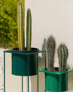 Set of 3 Cosme round metal planters