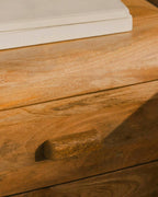 Rectangular bedside table 54.5x40 cm with 2 drawers in Reichel mango wood